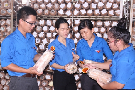 Đoàn viên không ngừng học hỏi, hăng say lao động, nghiên cứu khoa học góp phần xây dựng quê hương.