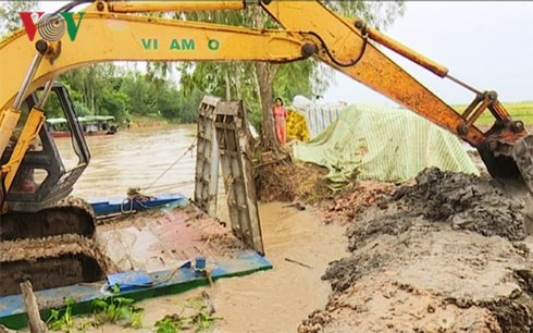 Công tác gia cố bờ bao tại Đồng Tháp đang được tiến hành khẩn trương