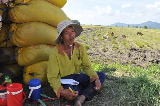 Nông dân lo lắng vì lúa bị ngập lũ gây thiệt hại... ẢNH:  HUỲNH LỢI 