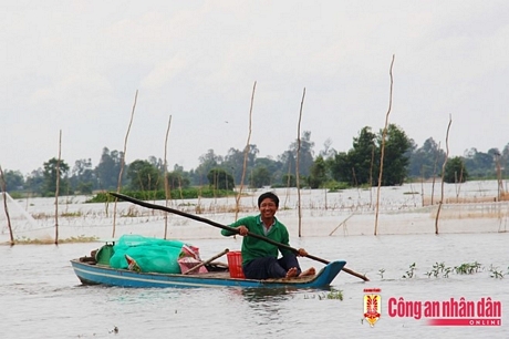 Tổng chi phí đầu vào mô hình 