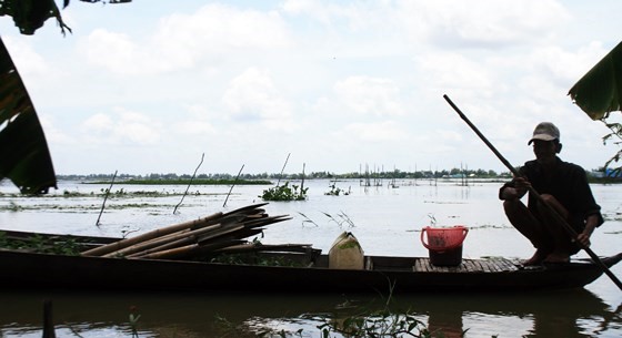 Giăng lưới, đặt trúm là sinh kế của hàng ngàn người dân trong mùa nước nổi