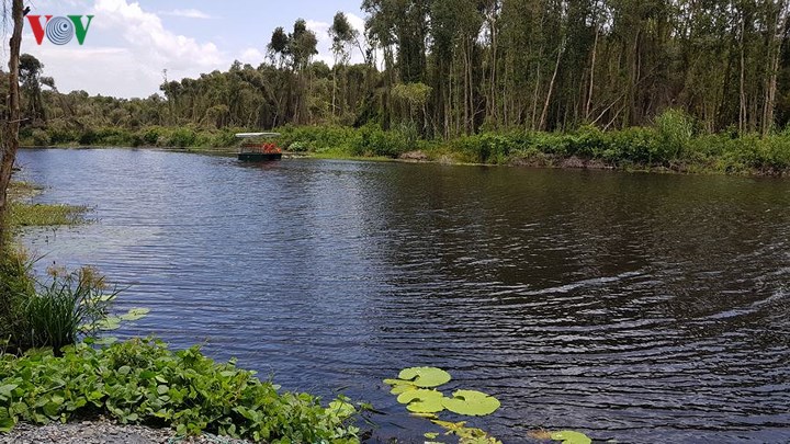 Di chuyển bằng thuyền cáp kéo hòa mình vào thiên nhiên.