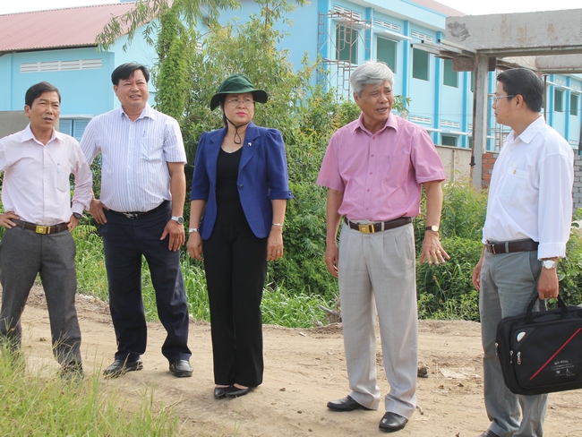 Đoàn khảo sát thực tế tại cụm công trình các trường học và đường giao thông.