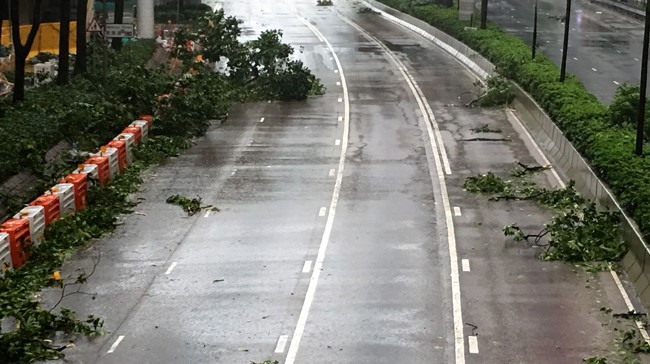Cành cây gẫy la liệt trên đường Glouceste.