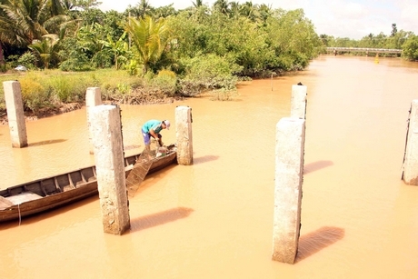 Thi công cống hở Cái Tôm, đê bao sông Cổ Chiên (xã Quới An- Vũng Liêm).