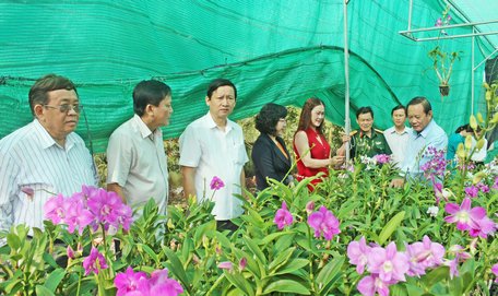 Các mô hình nông dân sản xuất giỏi trong tỉnh đã và đang phát huy hiệu quả.