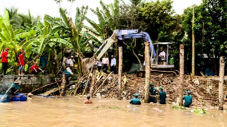 Gia cố đê bao phòng chống triều cường.