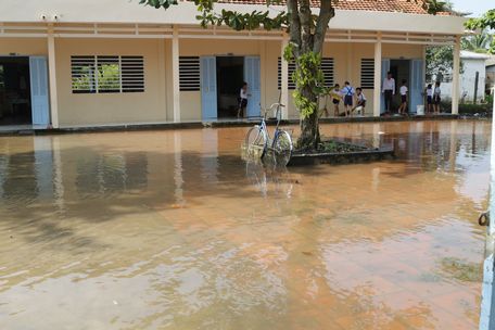 Anh Nguyễn Văn Tám (ấp Phú Thuận 1, xã Đồng Phú) buồn bả bên các cây đủ đủ bị héo lá vì triều cường