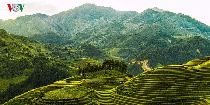 Đồi mâm xôi cách trung tâm huyện Mù Cang Chải tầm 8km, có độ cao tự nhiên 1000m – 1600m so với mặt nước biển với hình dáng tròn đều, nhô cao như mâm xôi đầy.