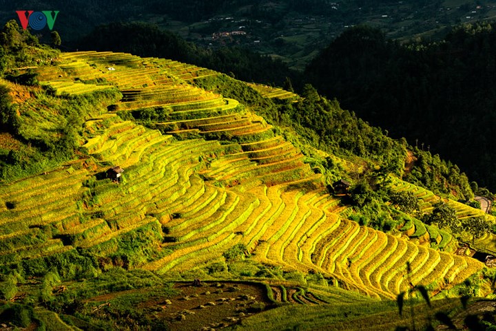 Bình minh trên đồi mâm xôi vào mùa lúa vàng thường vào khoảng 5h-5h30 phút. Trời chiều nắng tắt khá nhanh, nên nếu muốn chụp được những bức ảnh hoàng hôn trên đồi, cần chuẩn bị sẵn sàng thiết bị quay chụp từ 16h30 phút.