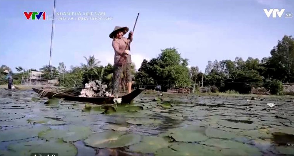 Theo chân người dân đi hái bông súng trong “Sản vật mùa nước nổi”. Ảnh chụp màn hình từ https://vtv.vn/video/kham-pha-viet-nam-san-vat-mua-nuoc-noi-301393.htm