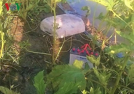 Một người tử vong do dùng điện bình xiệc chuột.