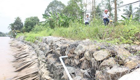 Tại Lục Sĩ Thành, những đoạn bờ bao xung yếu dọc tuyến kinh lớn có nguy cơ sạt lở đã được gia cố bằng kè đá.