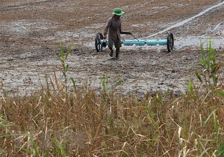 Ảnh chỉ có tính minh họa. (Ảnh: Duy Khương/TTXVN)