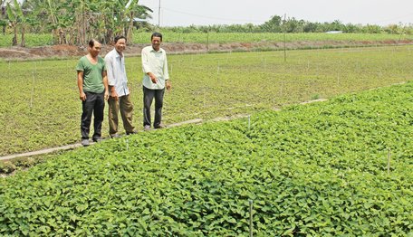 Để Nghị quyết đi vào cuộc sống và đến với người dân đang là bài toán đặt ra đối với các ngành, cấp và của cả cán bộ, đảng viên.