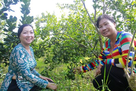 Chị Thu Thủy (trái) hạnh phúc bên vườn cây hữu cơ.