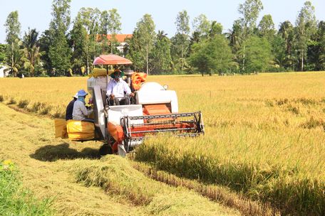 Vấn đề sửa đổi chính sách cho tích tụ ruộng đất được các đại biểu tiếp tục kiến nghị với Quốc hội. 