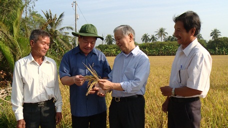 Bí thư Tỉnh ủy Vĩnh Long Trần Văn Rón (thứ 2 từ trái sang) và ông Phạm Chánh Trực- nguyên Phó Trưởng Ban Kinh tế Trung ương (thứ 3 từ trái sang), thăm ruộng lúa hữu cơ ở xã Mỹ Lộc (Tam Bình- Vĩnh Long).