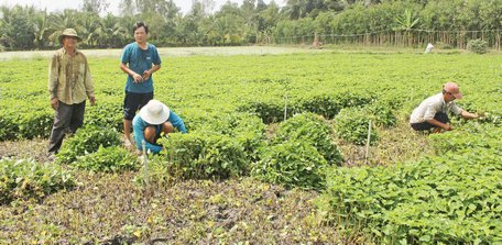 Để nghị quyết đi vào cuộc sống và đưa các thông tin thời sự đến với người dân là một trong những nhiệm vụ chính trị quan trọng.