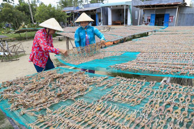 Hàng năm, nơi đây cung ứng cho thị trường hàng chục tấn khô thành phẩm.