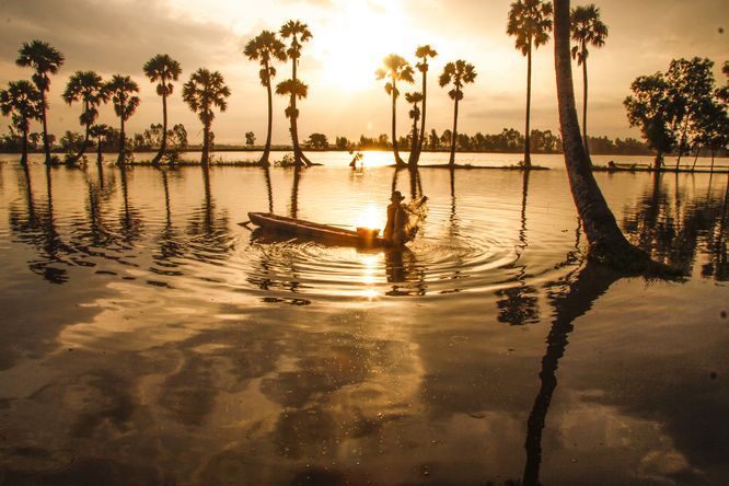  Khi bình minh vừa ló dạng, hàng cây thốt nốt soi bóng lung linh huyền ảo.