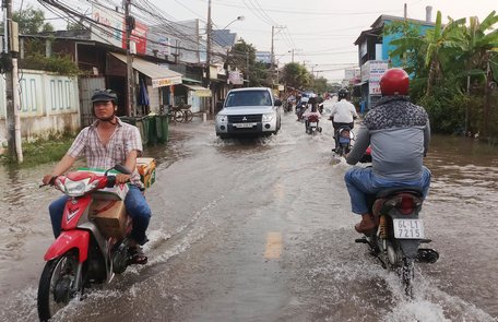 Đường Mậu Thân (Phường 3- TP Vĩnh Long) là một trong những con đường ngập nặng nhất của TP Vĩnh Long.