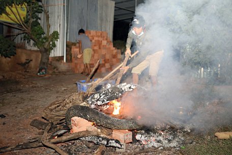 Người dân đốt xác trăn nghi quấn chết người - Ảnh: Bình An