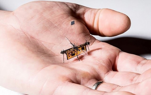 RoboFly có kích thước cực nhỏ nhắn đem lại hi vọng về những nhiệm vụ quan trọng trong cứu hộ, cứu nạn.