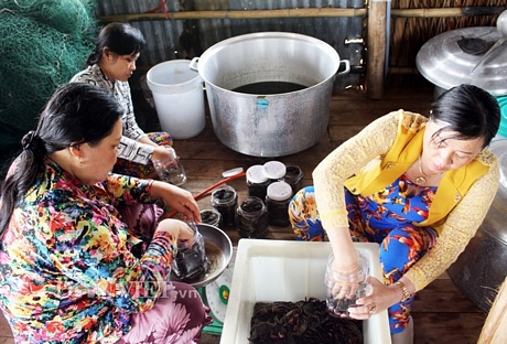 Khoảng tháng 7, tháng 8 âm lịch hằng năm là vào mùa ba khía có nhiều nhất. Nhiều người dân có thu nhập khá từ nghề soi ba khía ban đêm. Ảnh: Chúc Ly.