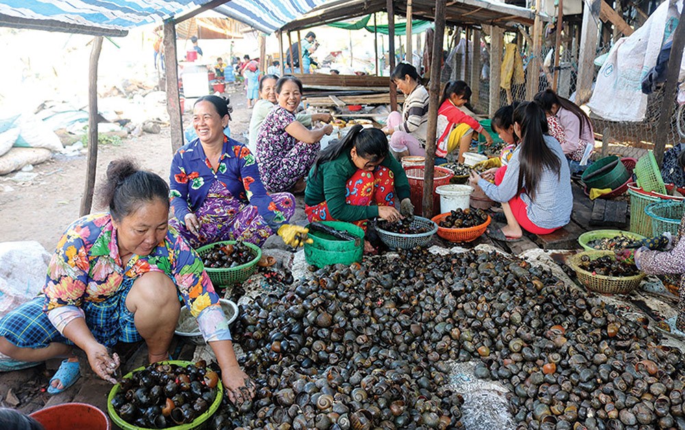 Mưu sinh bằng nghề lể ốc