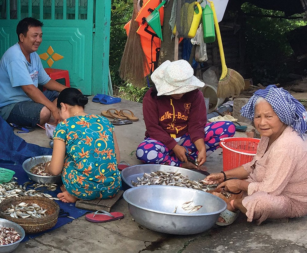 Cắt đầu cá kiếm thêm thu nhập