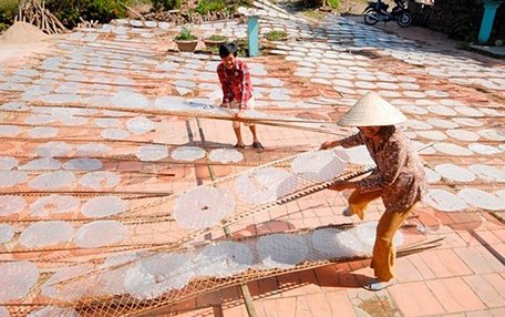   Làng nghề bánh tráng Mỹ Lồng ở huyện Giồng Trôm