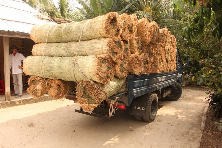 Thông thường, cây lác xuất đi Hà Nội phải có màu “mình xanh gốc trắng”. Và hàng đi làng chiếu Định Yên thì cây lác có gốc vàng hơn. Bằng đường thủy lẫn đường bộ, cây lác Trung Thành Đông sẽ đi ra sông Cổ Chiên “đóng công” rồi đi ra Bắc. Vào mùa, có tháng mỗi điểm trong 5 đại lý ở xã thu mua 50- 60 tấn lác đưa ra thị trường.