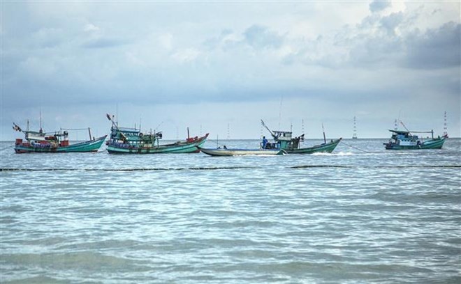 (Ảnh minh họa: Hồng Đạt/TTXVN)