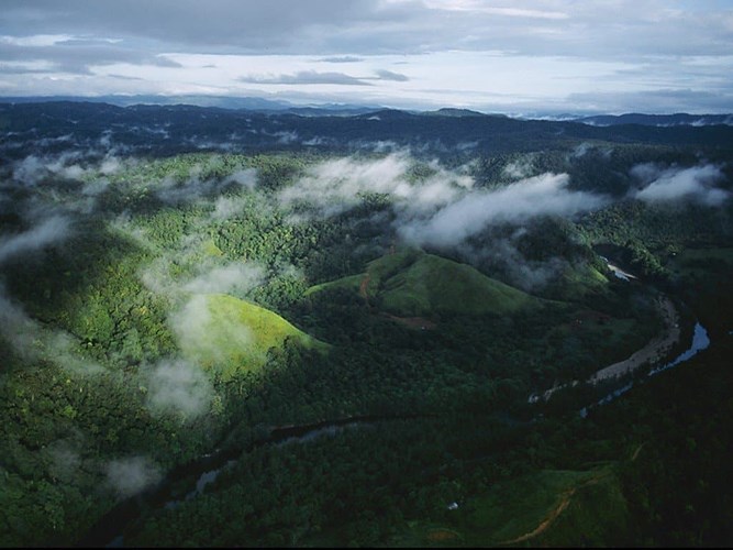 Bán đảo Cape York, Úc, được tìm thấy ở phía bắc Queensland, được biết đến là một trong những khu vực hoang dã cuối cùng trên thế giới. Đây là môi trường sống tự nhiên cho động vật, thực vật, và cũng là nơi sinh sống của khoảng 18.000 thổ dân.