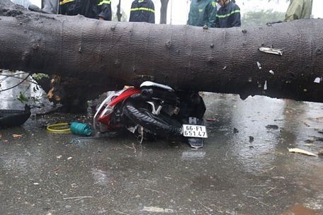 Cây xanh đổ ngã đè lên một xe máy đang lưu thông trên đường Nguyễn Văn Linh, đoạn đi qua xã Bình Hưng, huyện Bình Chánh, TP.HCM, khiến người điều khiển xe bị thương nặng và tử vong ngay sau đó. (Ảnh: TTXVN phát)