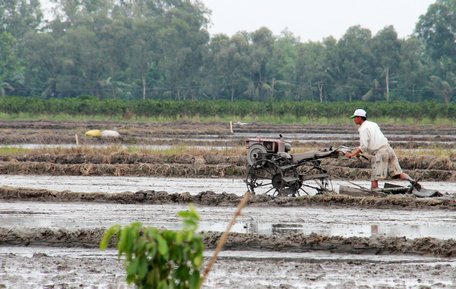 Gieo sạ đồng loạt, ứng dụng khoa học kỹ thuật cho năng suất cao.