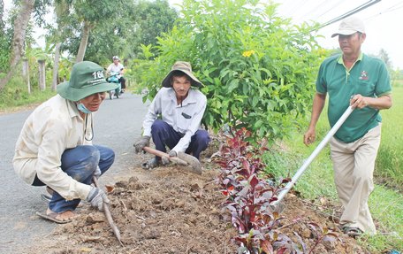 Hội Nông dân xã Long Mỹ tích cực trồng hoa để tôn tạo cảnh quan.