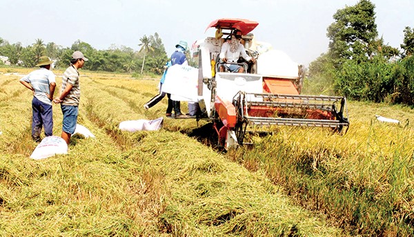 TP Cần Thơ tăng cường ứng dụng cơ giới hóa vào sản xuất nông nghiệp, nâng cao lợi nhuận cho người sản xuất. Ảnh: HÀ VĂN