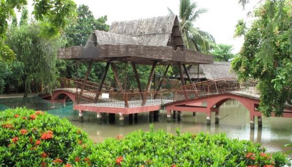 Ảnh sưu tầm