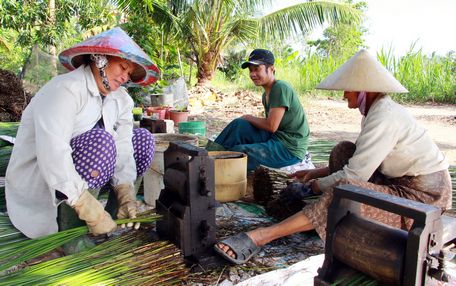 Giá lác ổn định nhiều năm nên nông dân có lời khá.