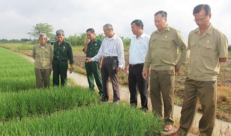 Phong trào thi đua yêu nước CCB gương mẫu đã và đang đi vào thực chất. 