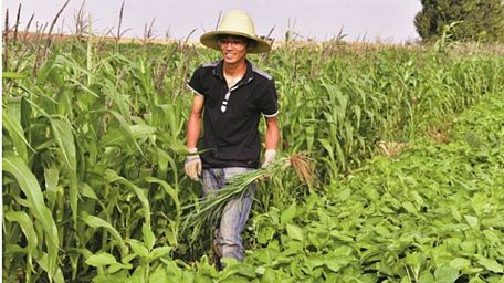  Ở Trung Quốc, ngày càng có nhiều người tốt nghiệp đại học rời bỏ thành thị để về quê lập nghiệp Ảnh: SCMP