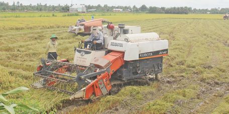 Đến nay, tỉnh Vĩnh Long đã đạt và vượt chỉ tiêu Nghị quyết Đảng bộ tỉnh nhiệm kỳ 2015- 2020 (trước 2 năm) về số xã đạt chuẩn NTM. 