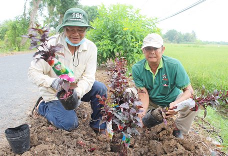 Sau khi các tuyến đường hoàn thành, người dân trồng hoa để tôn tạo cảnh quan.