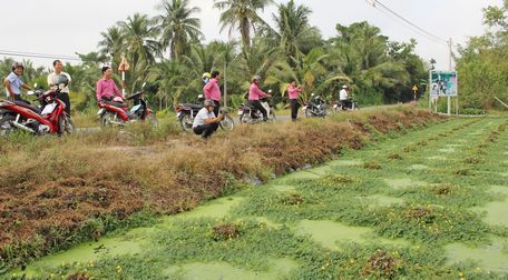 Sau khi về đích NTM, các xã đang hướng đến mục tiêu xây NTM kiểu mẫu.