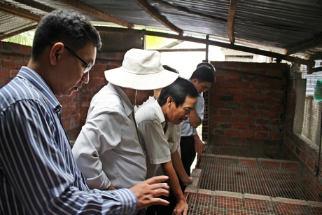 Khách tham quan mô hình nuôi chồn hương. Mô hình nuôi chồn hương đang đem lại nguồn lợi khá cho nông hộ có diện tích canh tác nhỏ hẹp.