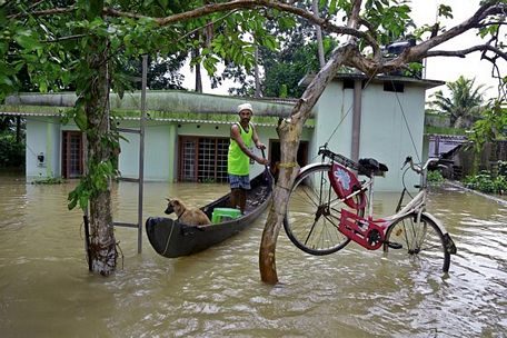 Một người đàn ông chèo thuyền cùng chú chó ngang một chiếc xe đạp treo trên cây để khỏi bị nước lũ cuốn trôi ở Kuttanad, Alappuzha, Kerala, Ấn Độ, ngày 20/8/2018. Ảnh: AP