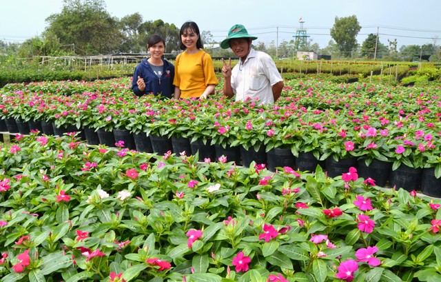 Sa Đéc có trên 500ha chuyên trồng hoa kiểng với hơn 2.500 loài. Hàng năm mang về giá trị sản xuất khoảng 1.500 tỷ đồng, chiếm trên 70% giá trị sản xuất toàn ngành nông nghiệp TP.Sa Đéc