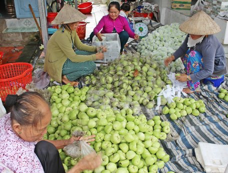 Qua các phong trào, hội đã tích cực góp phần cùng các địa phương giúp 452 hộ thoát nghèo và 274 hộ thoát cận nghèo.